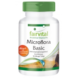 Microflora Basic - 90 DRcaps