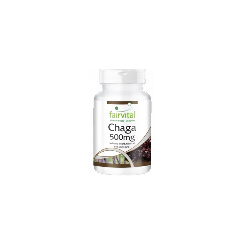 Chaga - Hongo puro 500mg - 90 cápsulas