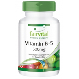 Vitamina B-5 500mg - 60 Cápsulas