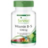 Vitamina B-5 500mg - 60 Cápsulas