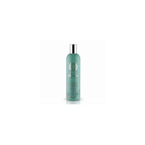 Champú para Cabello Graso Volumen y Frescor 400 ml