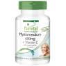Ácido Hialurónico 400mg + Vitamina C - 90 comprimidos