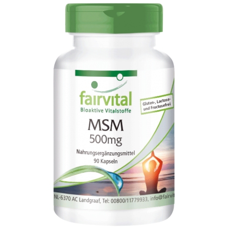 MSM 500mg - 90 Cápsulas