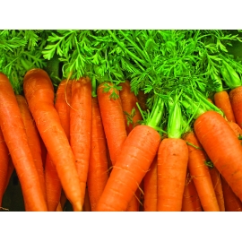 Carotinoides - Suplementos | Biostand