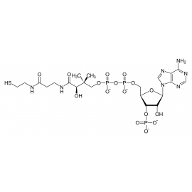 Co-enzimas - Suplementos | Biostand