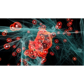 Enzimas - Suplementos | Biostand