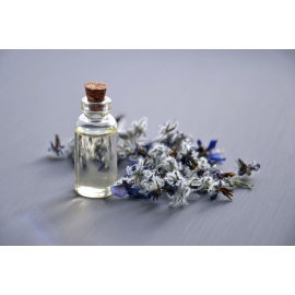 Extractos de plantas - Suplementos | Biostand