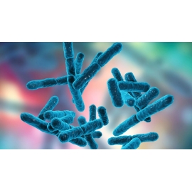 Probióticos - Suplementos | Biostand