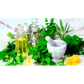 Otros - Suplementos | Biostand