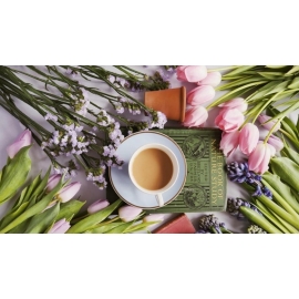 Infusiones - Alimentación | Biostand