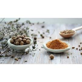 Adaptógenos - Suplementos | Biostand